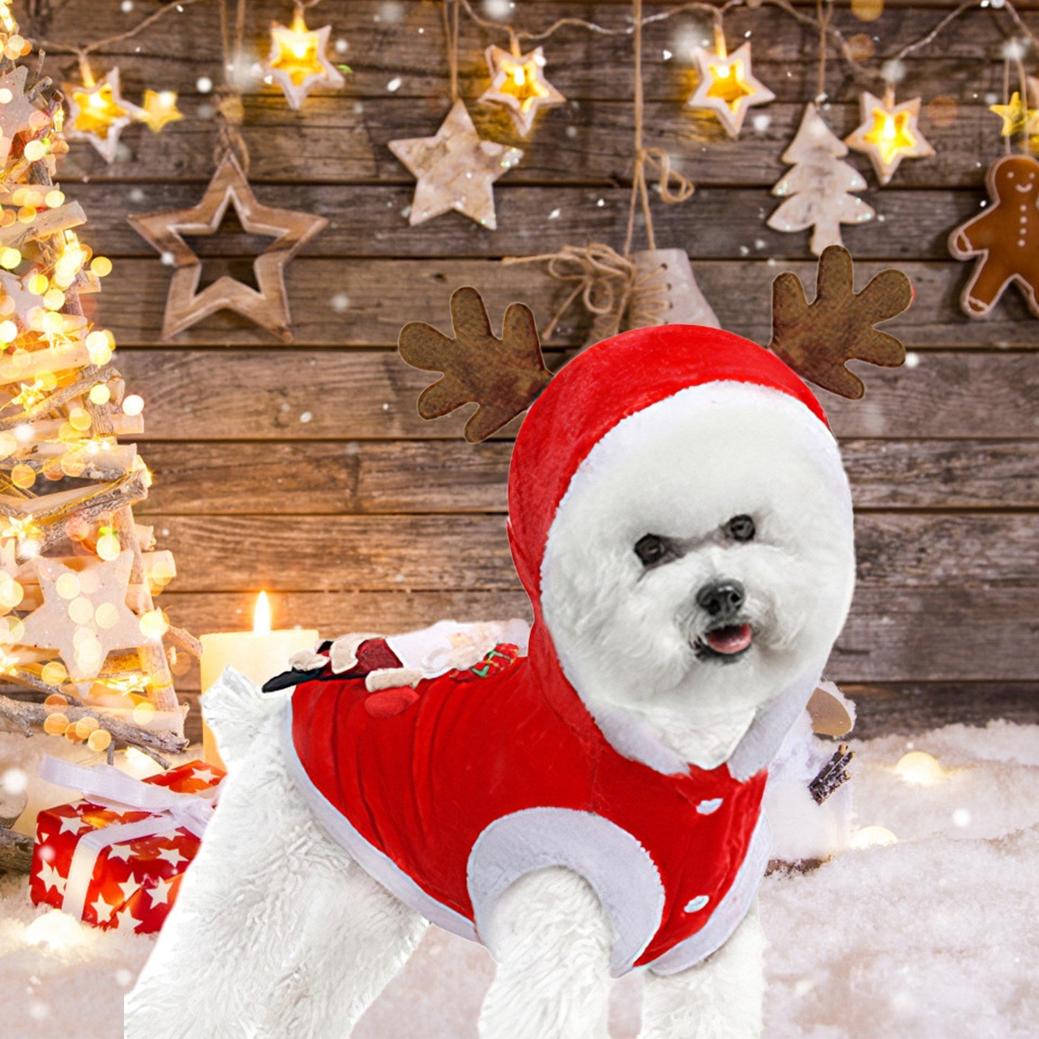 Pet Christmas Clothes Santa Claus