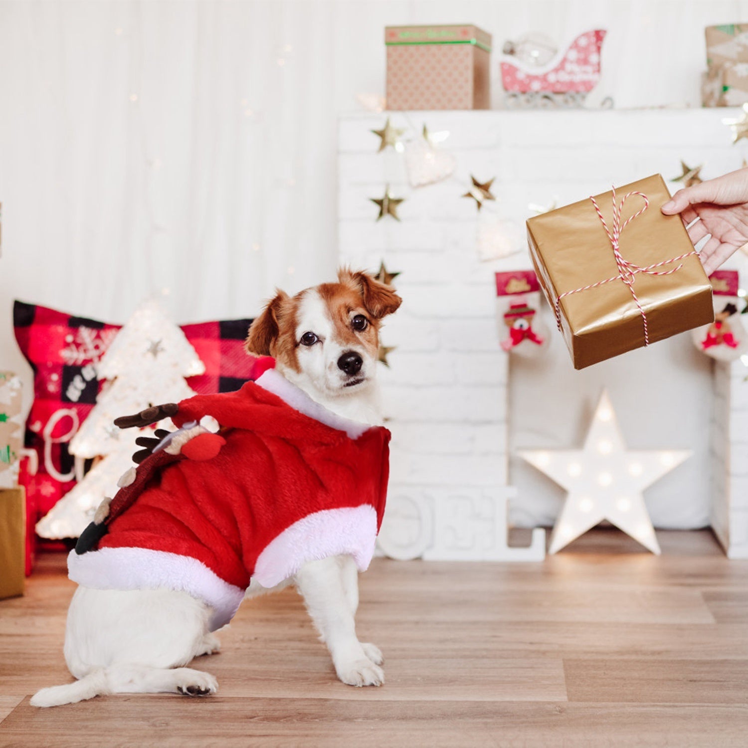 Pet Christmas Clothes Santa Claus